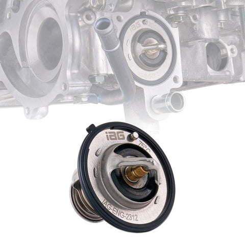 IAG Low Temp Thermostat