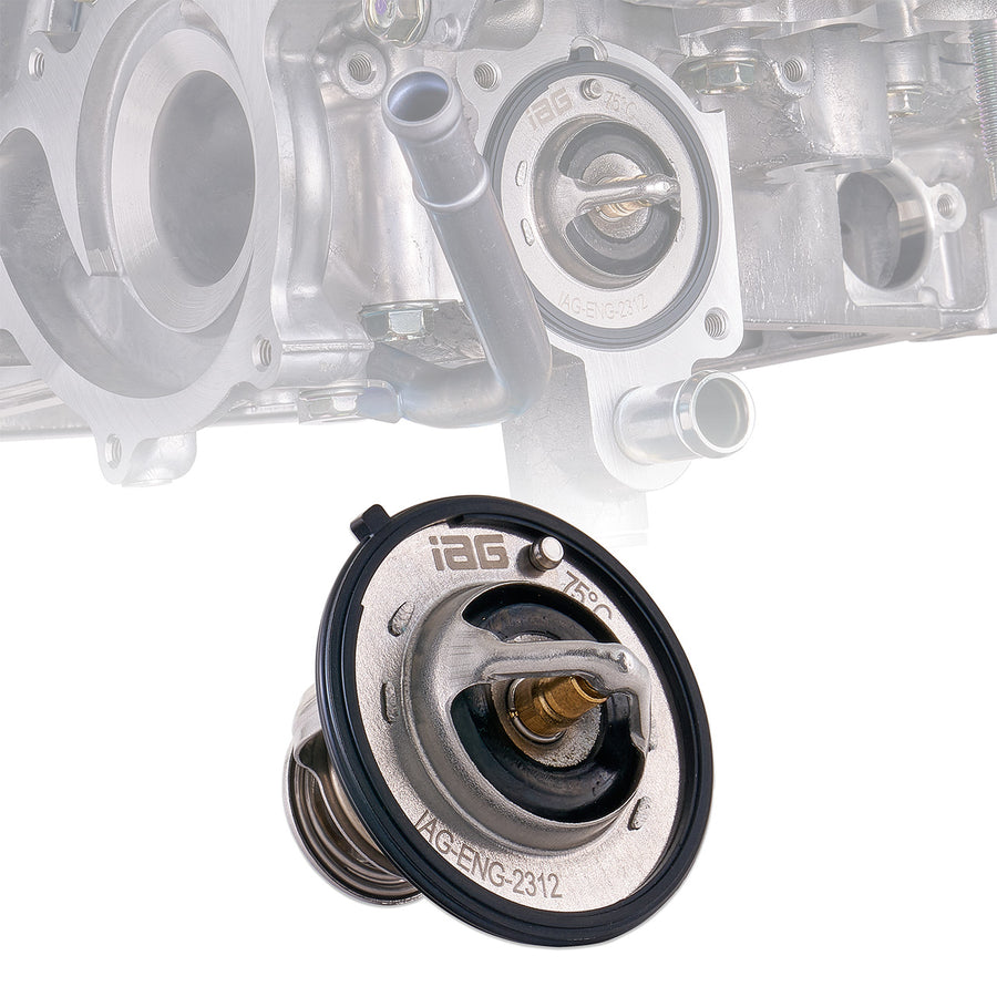 IAG Low Temp Thermostat