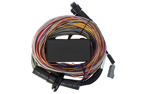 Haltech Elite 750 Premium Universal Wire-In Harness - 2.5m (8ft)
