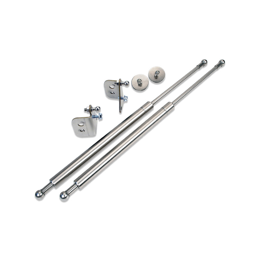 EZ-Lift Hood Struts Silver Finish