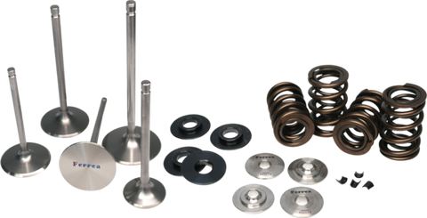Ferrea Honda S2000 Dual Spring Kit