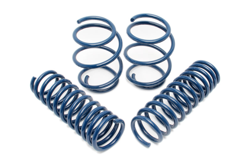 Dinan 12-15 BMW 335i (F30) Performance Spring Set