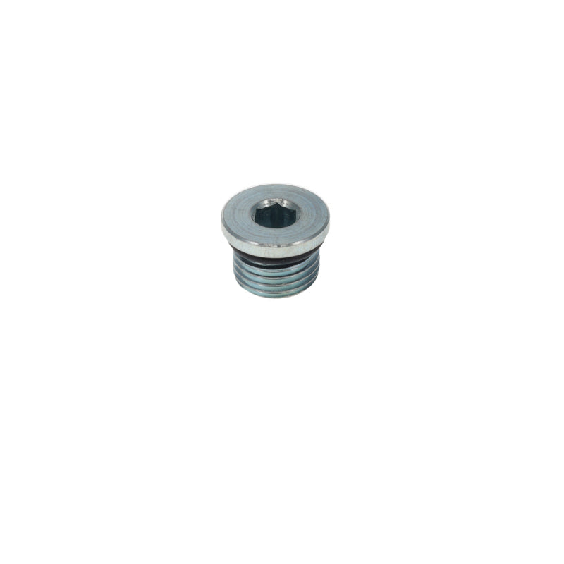 Peterson Fluid Systems Port Plug -6AN Oil Tank