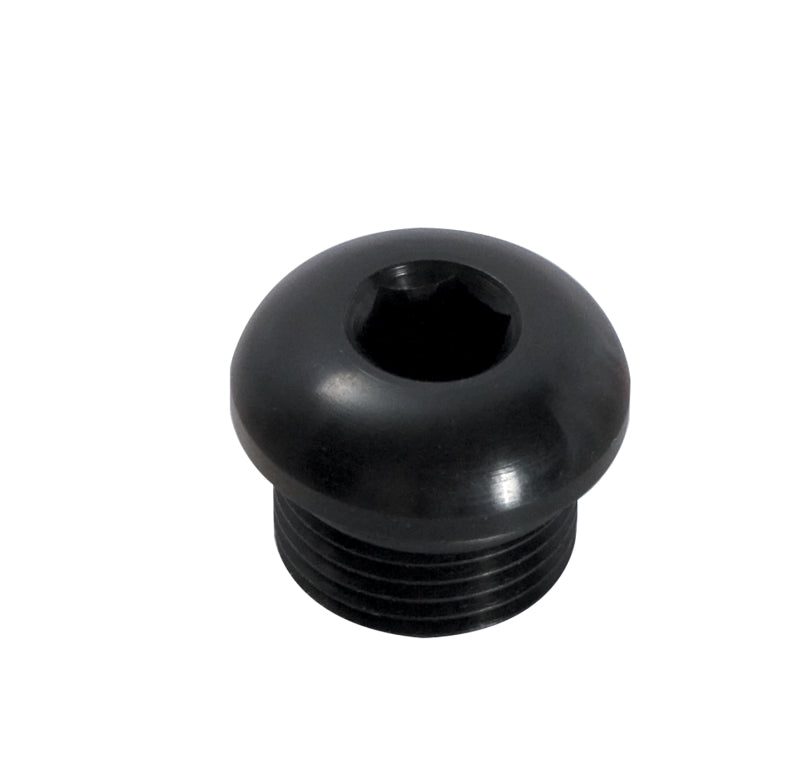 Peterson Fluid Systems Port Plug -16AN Internal Hex